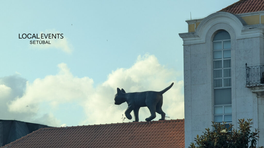localevents setubal with cat localevents setubal with cat